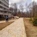 DSCF6169.JPG.jpg
