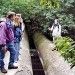В поисках клада В поисках клада