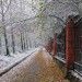 Снег на Валдае! Снег на Валдае!